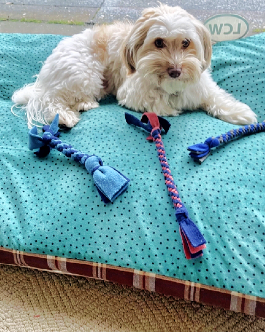 Braided Dog Tug Toys
